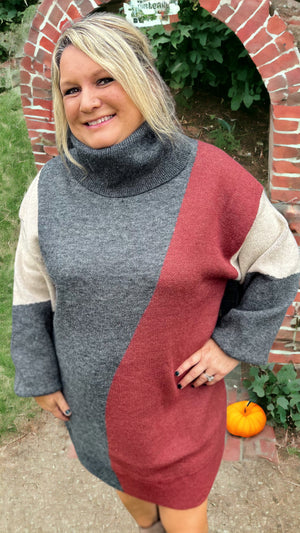 Turtle neck sweater dress